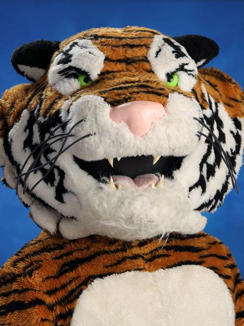 Mascot